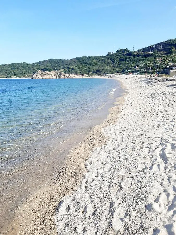 Studio Wilem Sarti Grecia