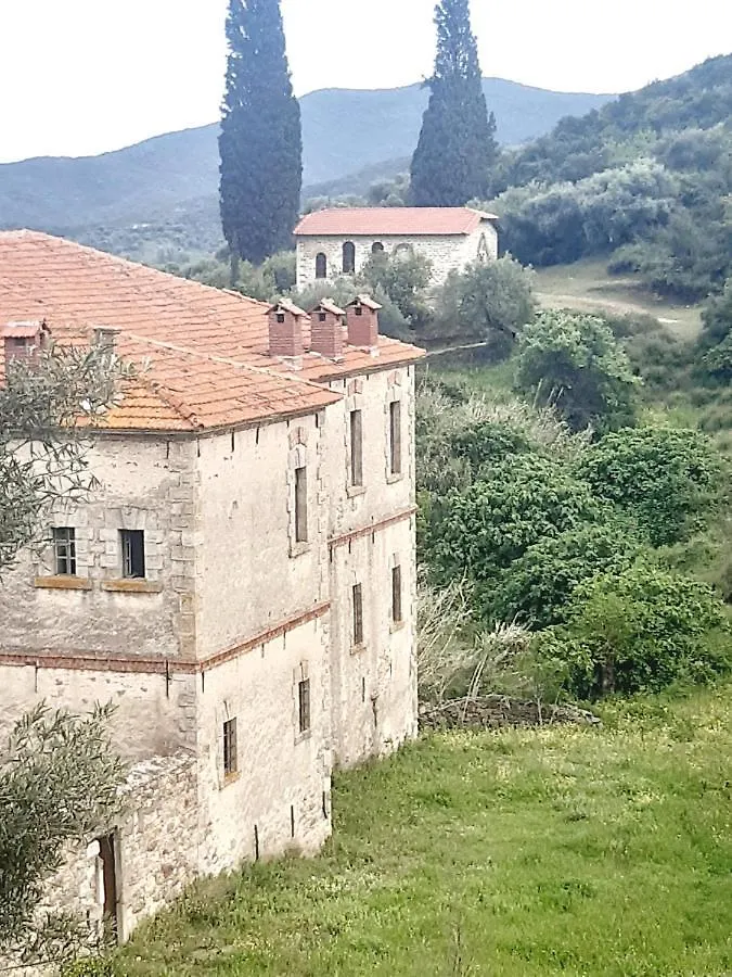 Studio Wilem Sarti